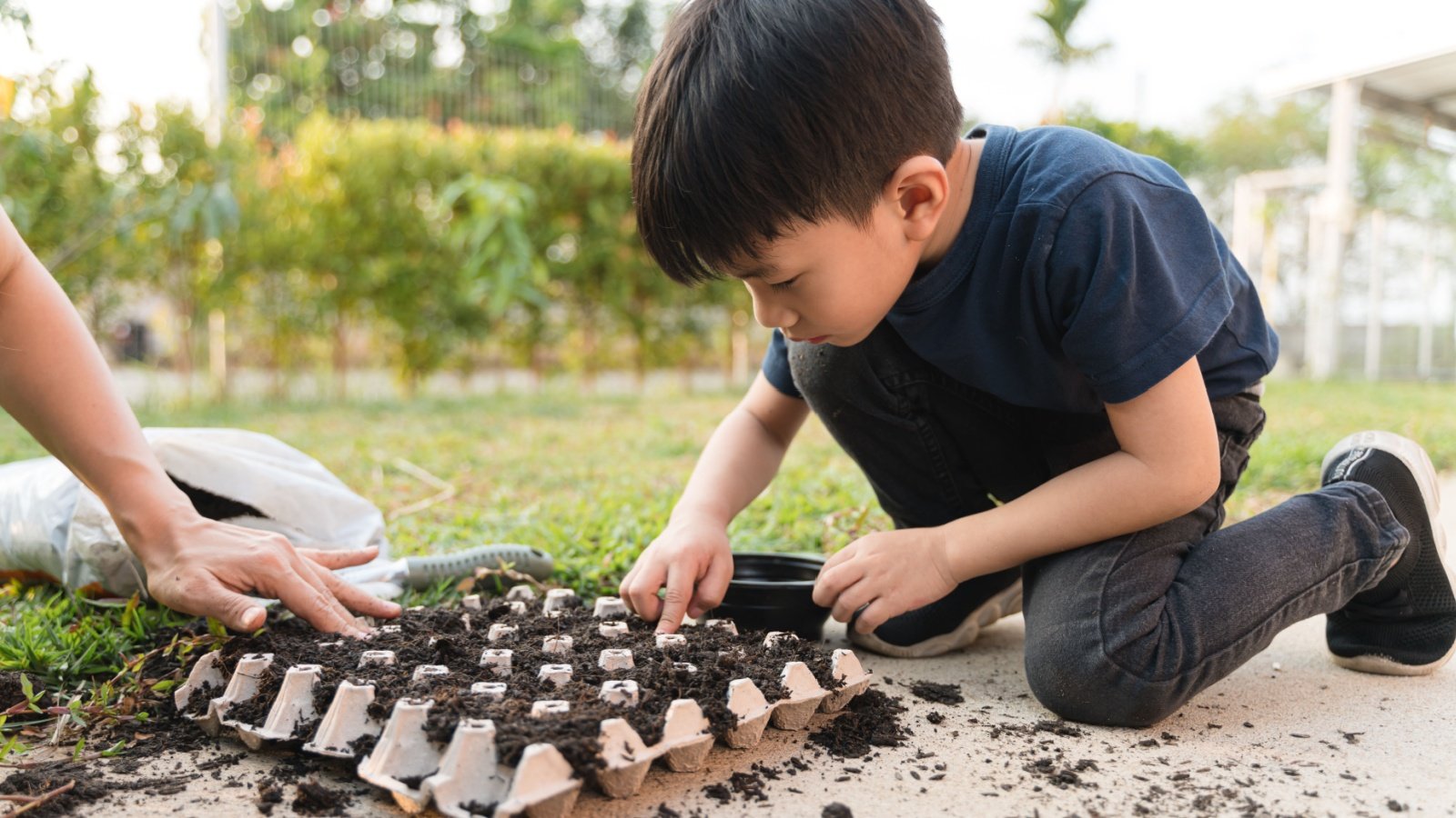 Kid Child Boy Upcycle Egg Carton Garden Seed Tray BonNontawat Shutterstock