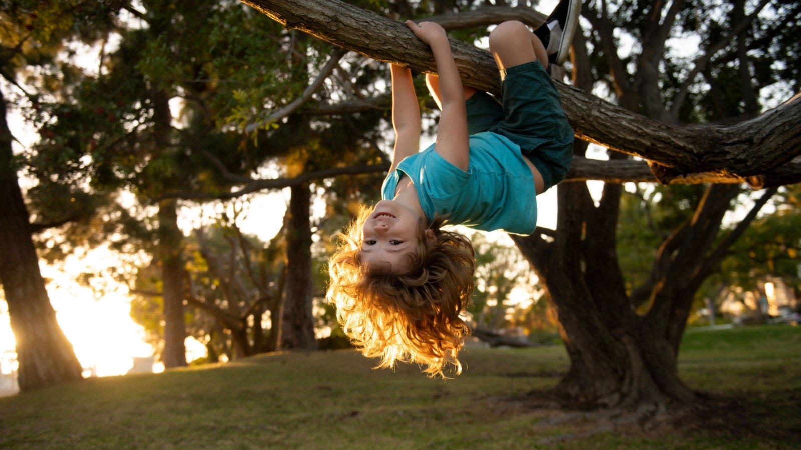 Kid Child Climbing Trees Outdoor Volodymyr TVERDOKHLIB Shutterstock