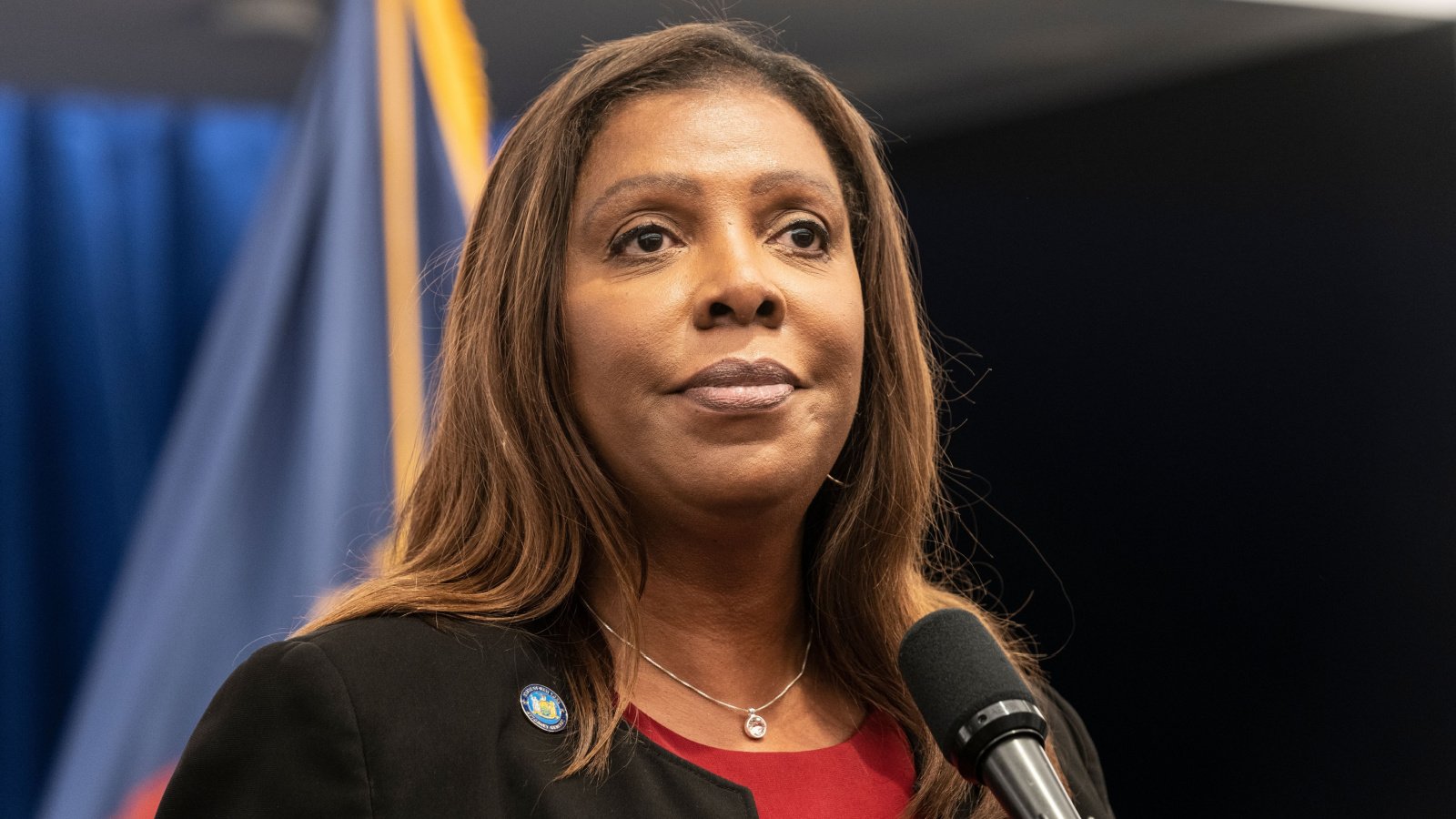 Letitia James Attorney General New York Politics Democrat lev radin shutterstock