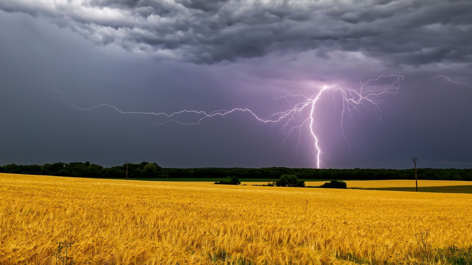 Lightning in the thunderstorm sky over the field weather Nikolay Zaborskikh Shutterstock