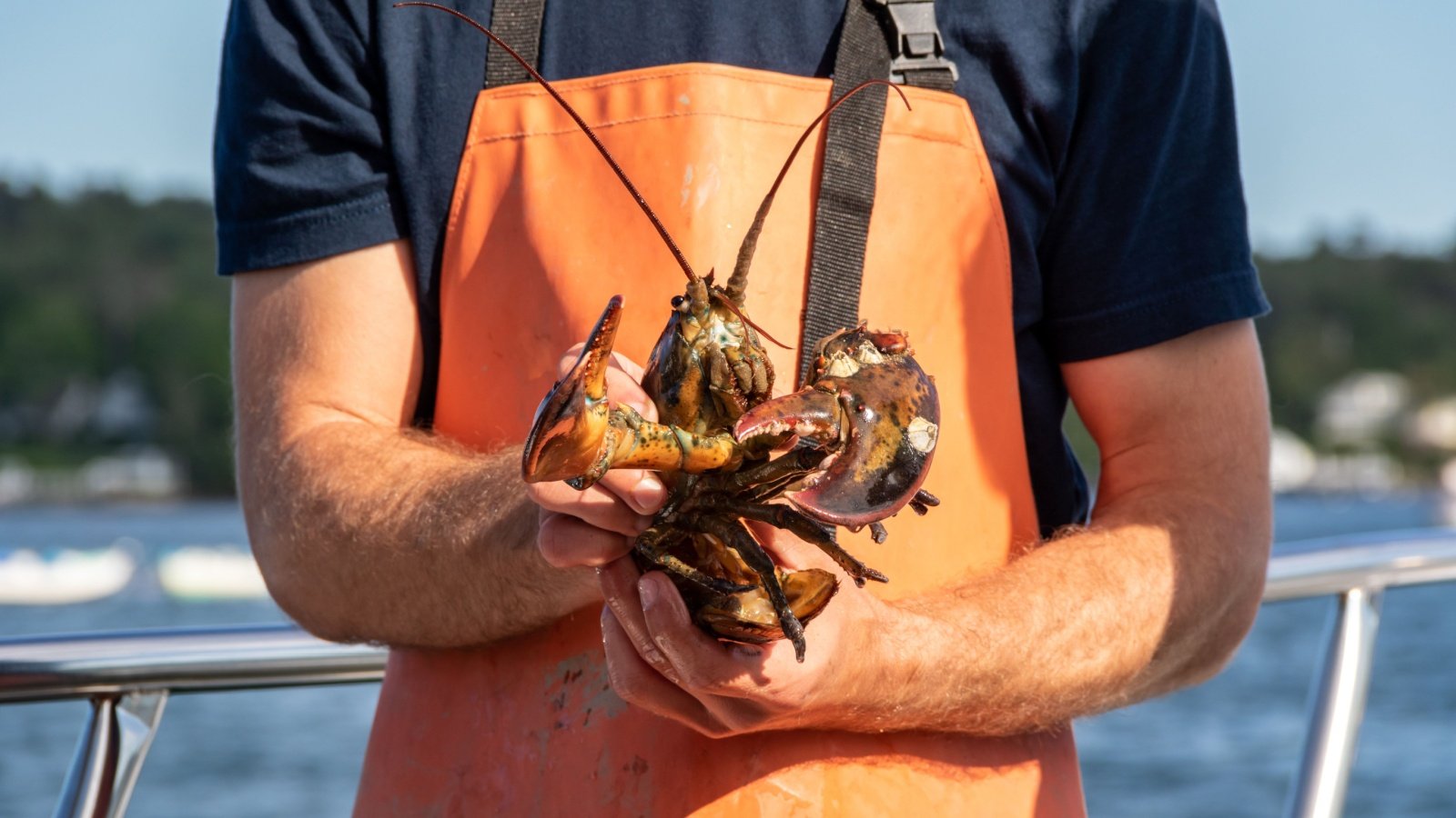 Lobster boat Maine fisherman catch sea apron Rabbitti Shutterstock