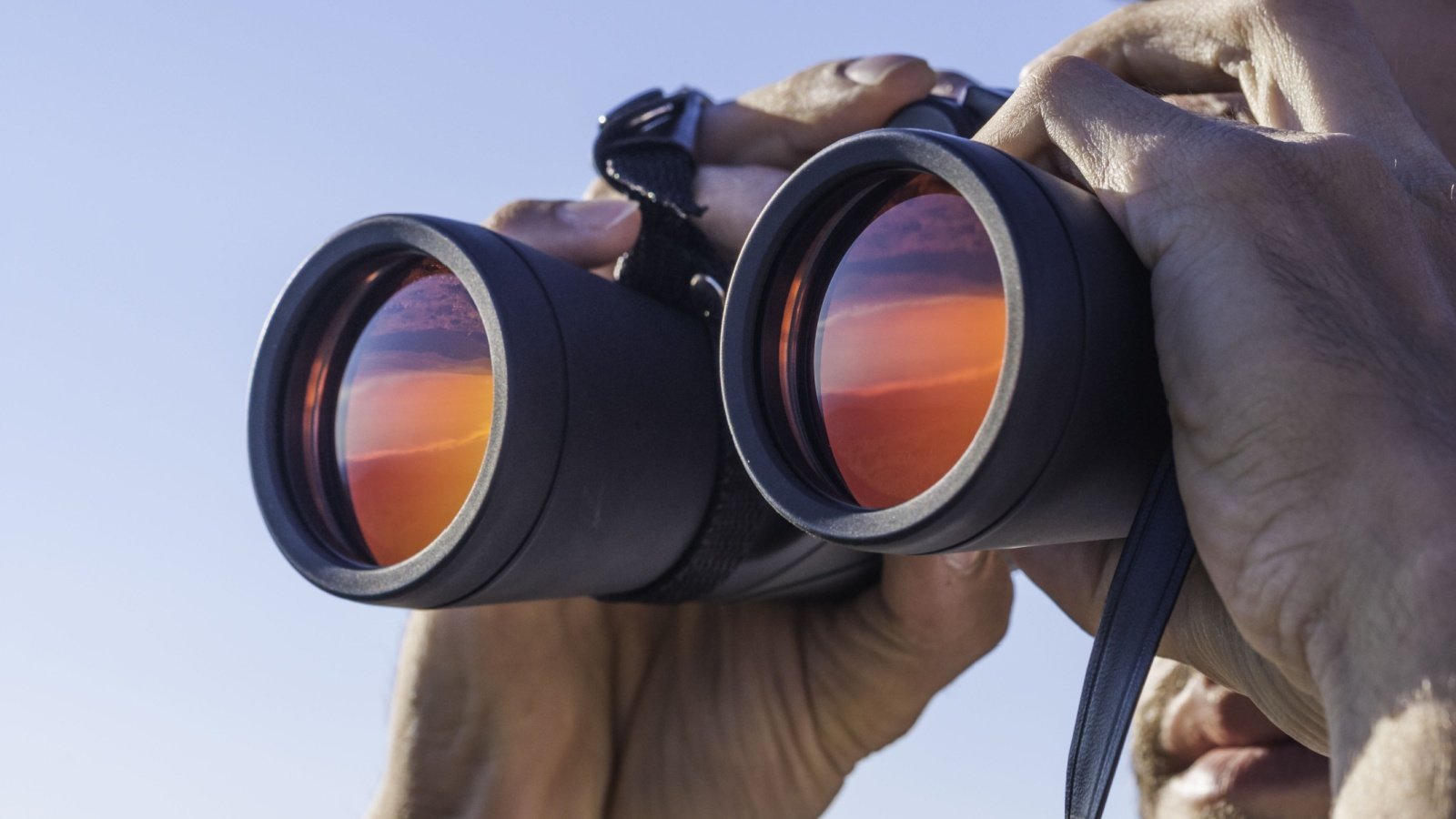 Looking through binoculars search find explore nature watch navigate valeriiaarnaud Shutterstock