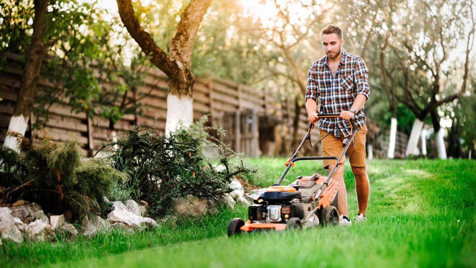 Male Chores Garden Lawnmower record bogubogu Shutterstock