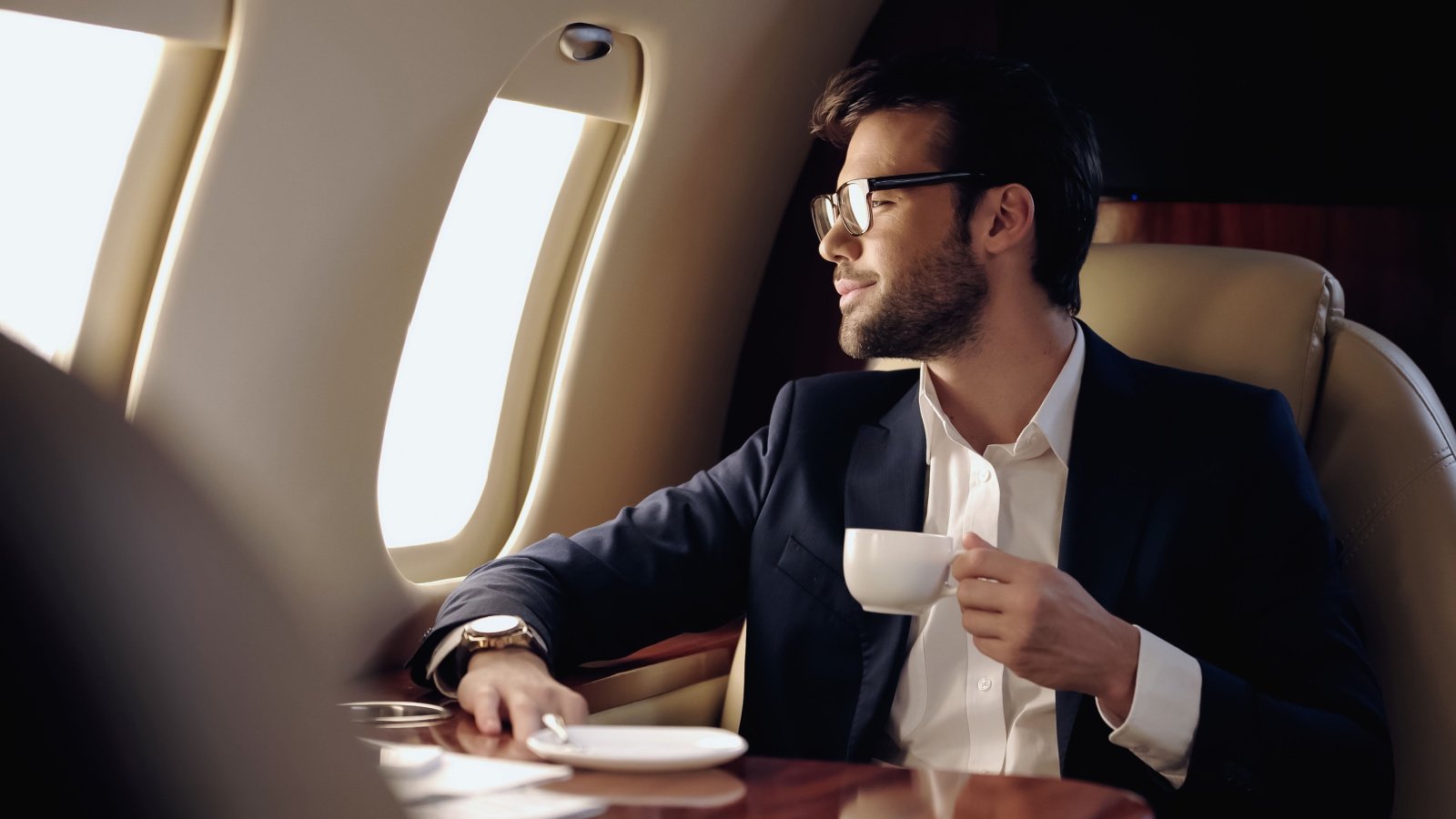 Male Wealthy Rich Airplane Private First Class LightField Studios Shutterstock