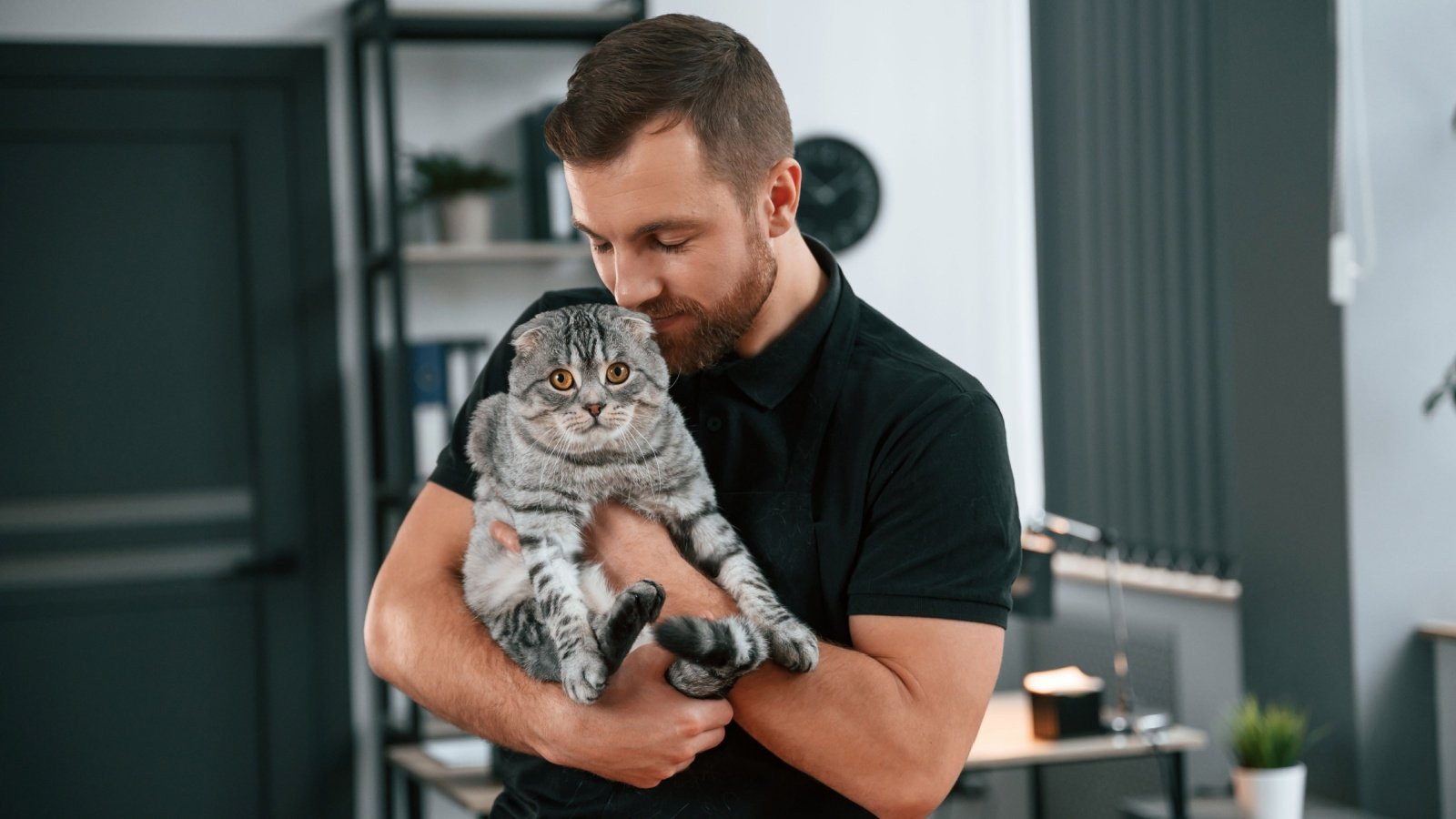 Male holding Scottish Fold cat Standret Shutterstock