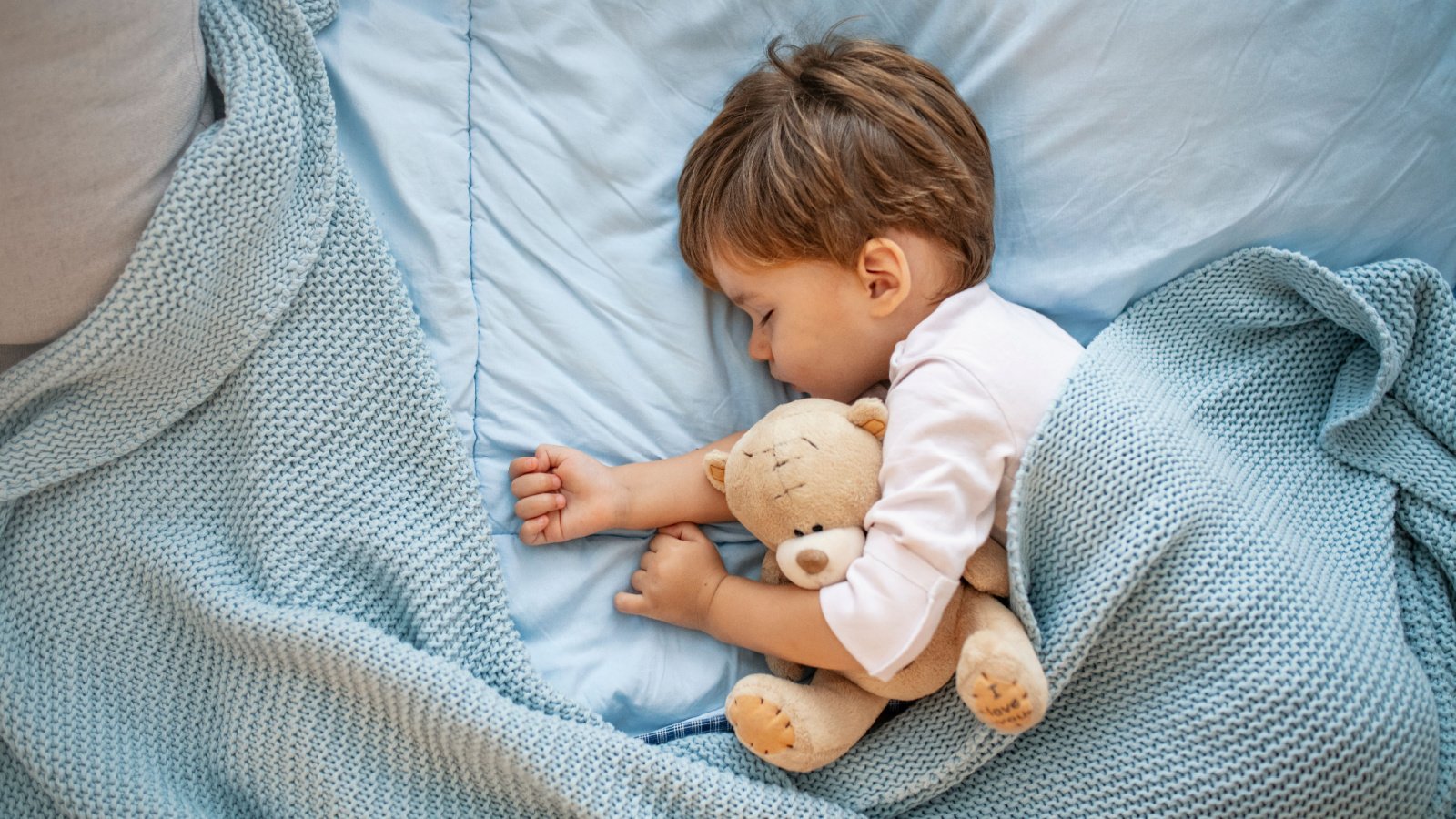 Male toddler boy teddy sleeping nap child Dragana Gordic Shutterstock