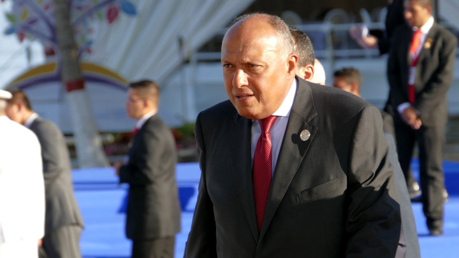 Minister of Foreign Affairs of Egypt Sameh Hassan Shoukry Golden Brown Shutterstock