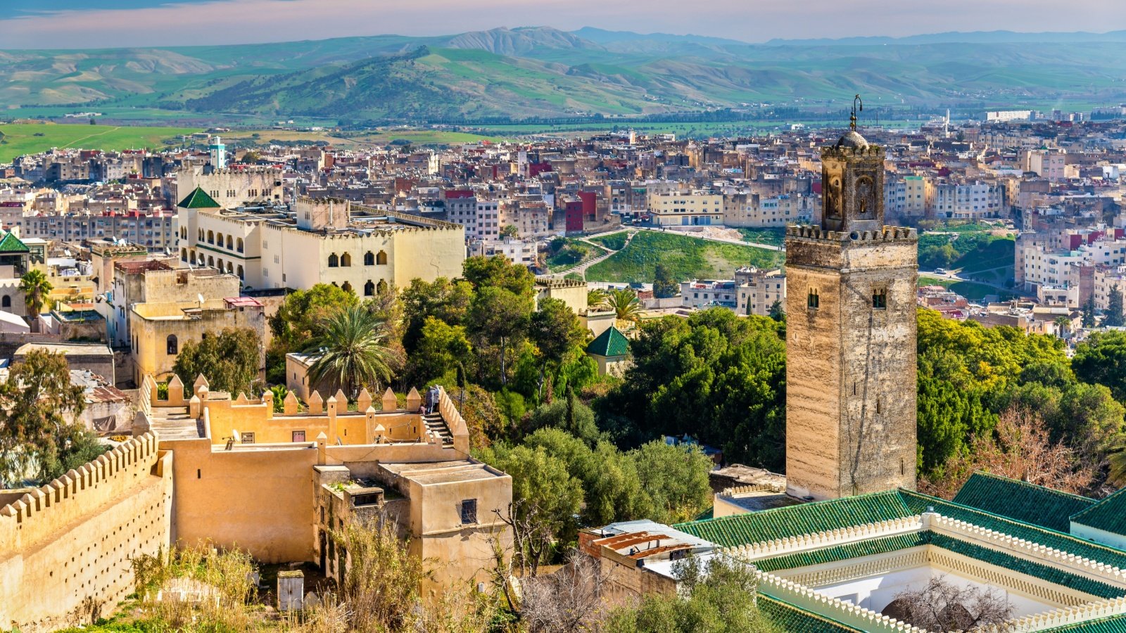 Mosque at Bab Guissa Gate in Fez Morocco Leonid Andronov Shutterstock