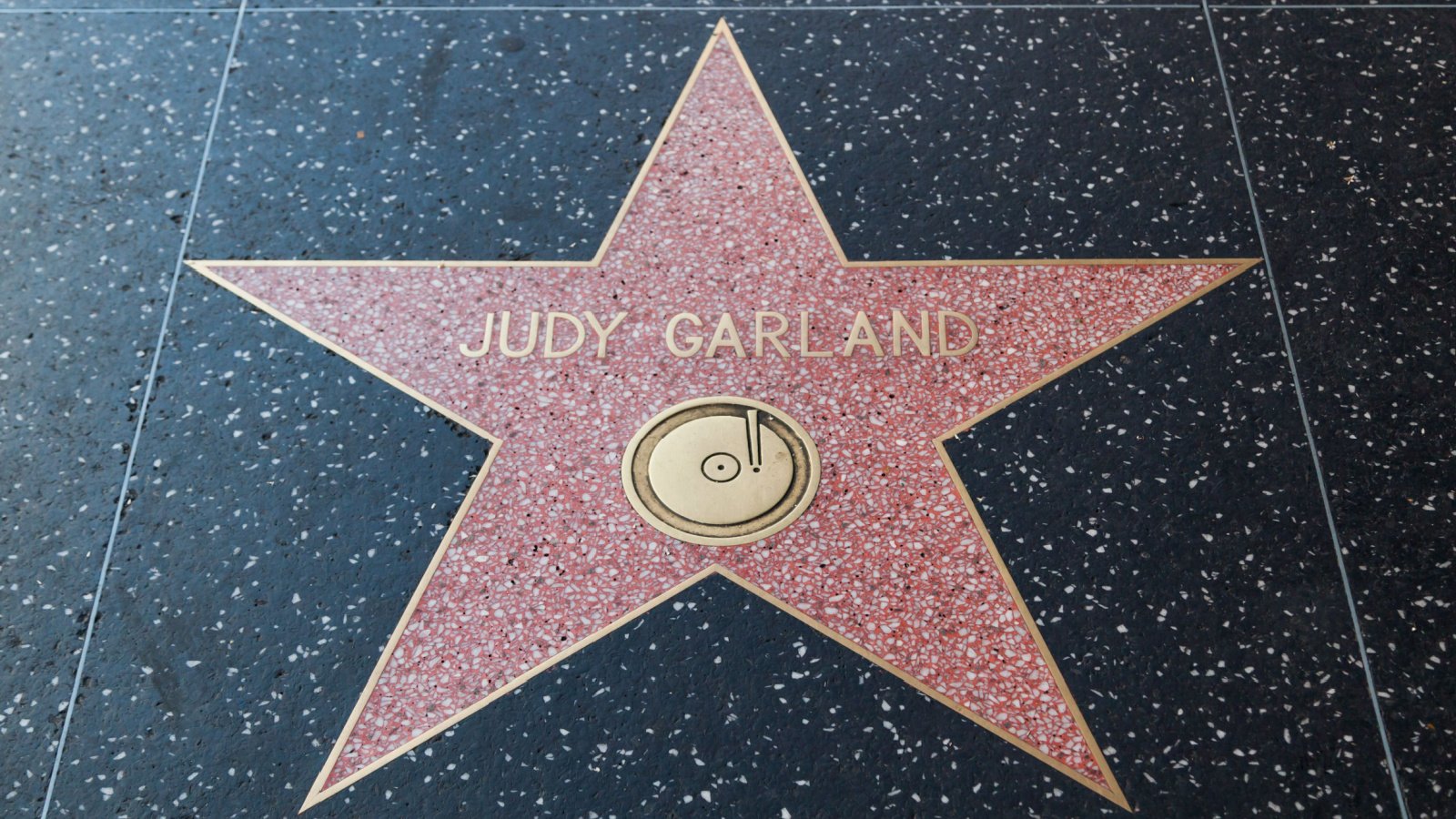 Movie Celebrity Judy Garland Holywood Star Tami Freed Shutterstock