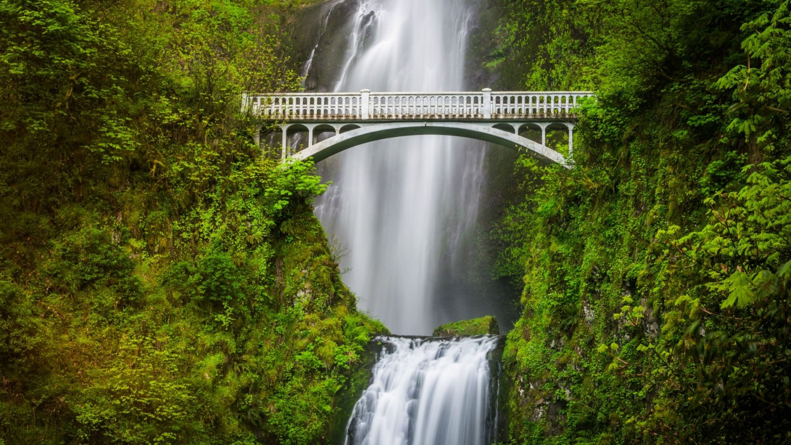 Multnomah Falls and bridge, in the Columbia River Gorge, Oregon Jon Bilous Shutterstock