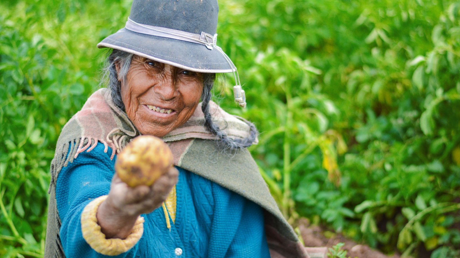 Native Woman potato harvest andes food organic Ruslana Iurchenko Shutterstock