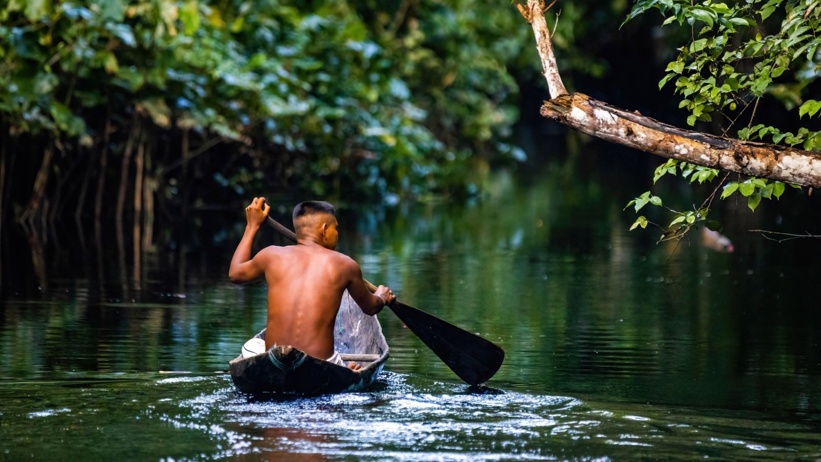 Native tribal man in amazon rainforest in boat canoe paddle oar Photo Spirit Shutterstock