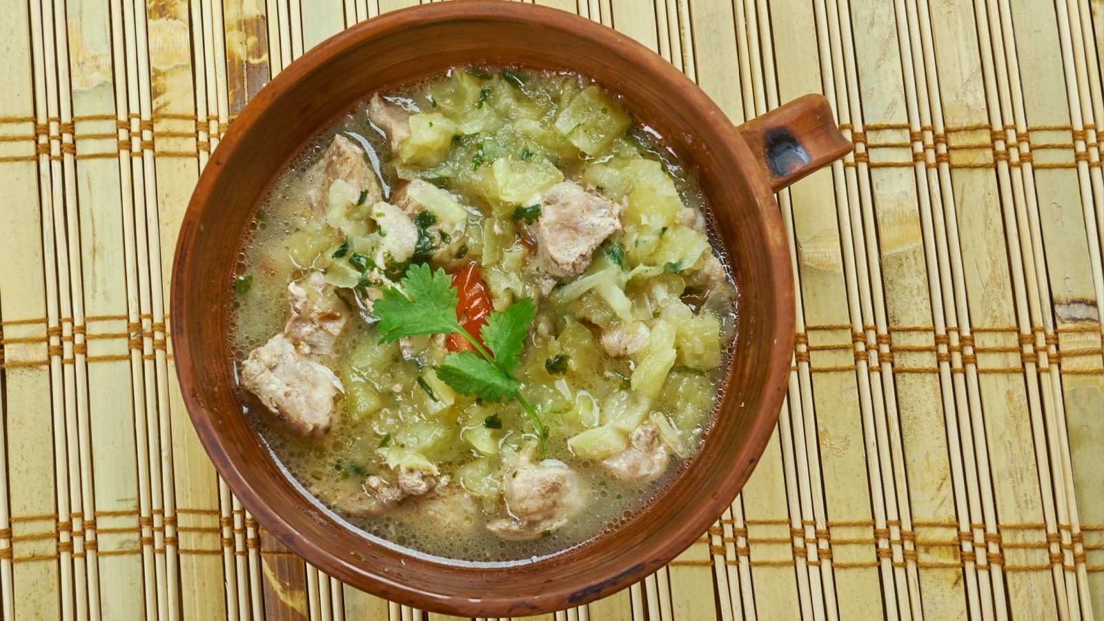 New Mexico Green Chile Stew Fanfo Shutterstock