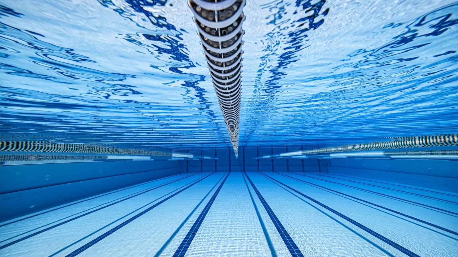 Olympic Swimming Pool Andrei Armiagov Shutterstock