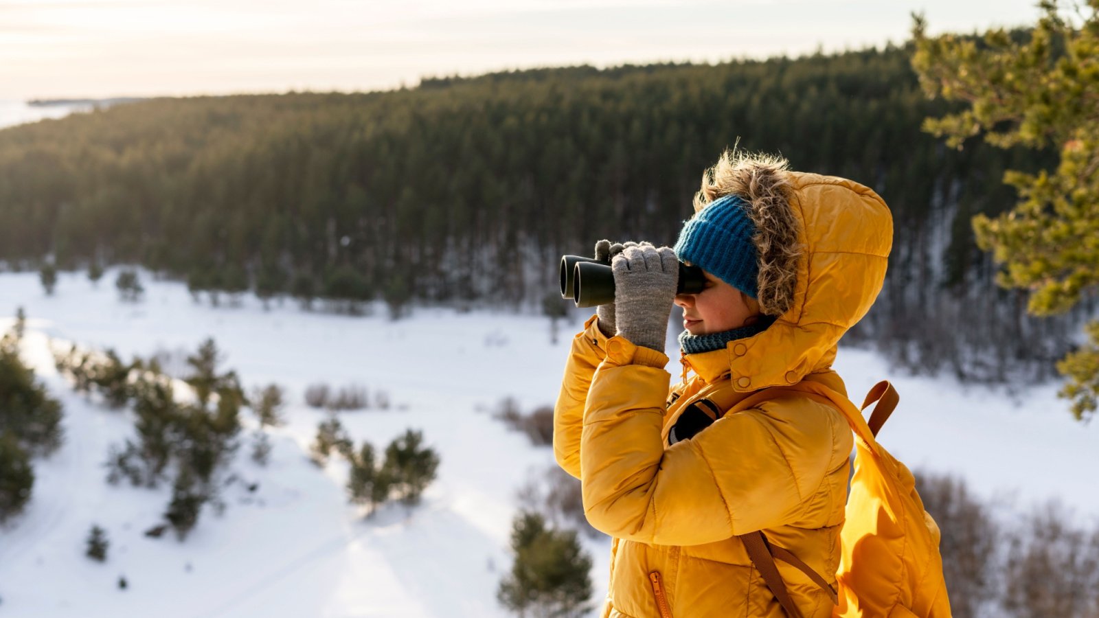 Ornithology binocular winter bird watching Lena viridis shutterstock