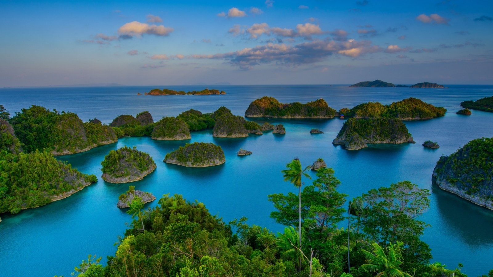 Papua Raja Ampat Indonesia Vaclav Sebek Shutterstock