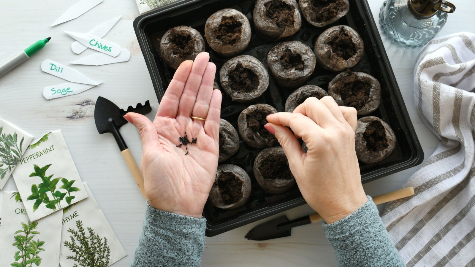 Peat pellets herb vegetable seed packets planting seeds for an indoor garden gardening MargJohnsonVA Shutterstock