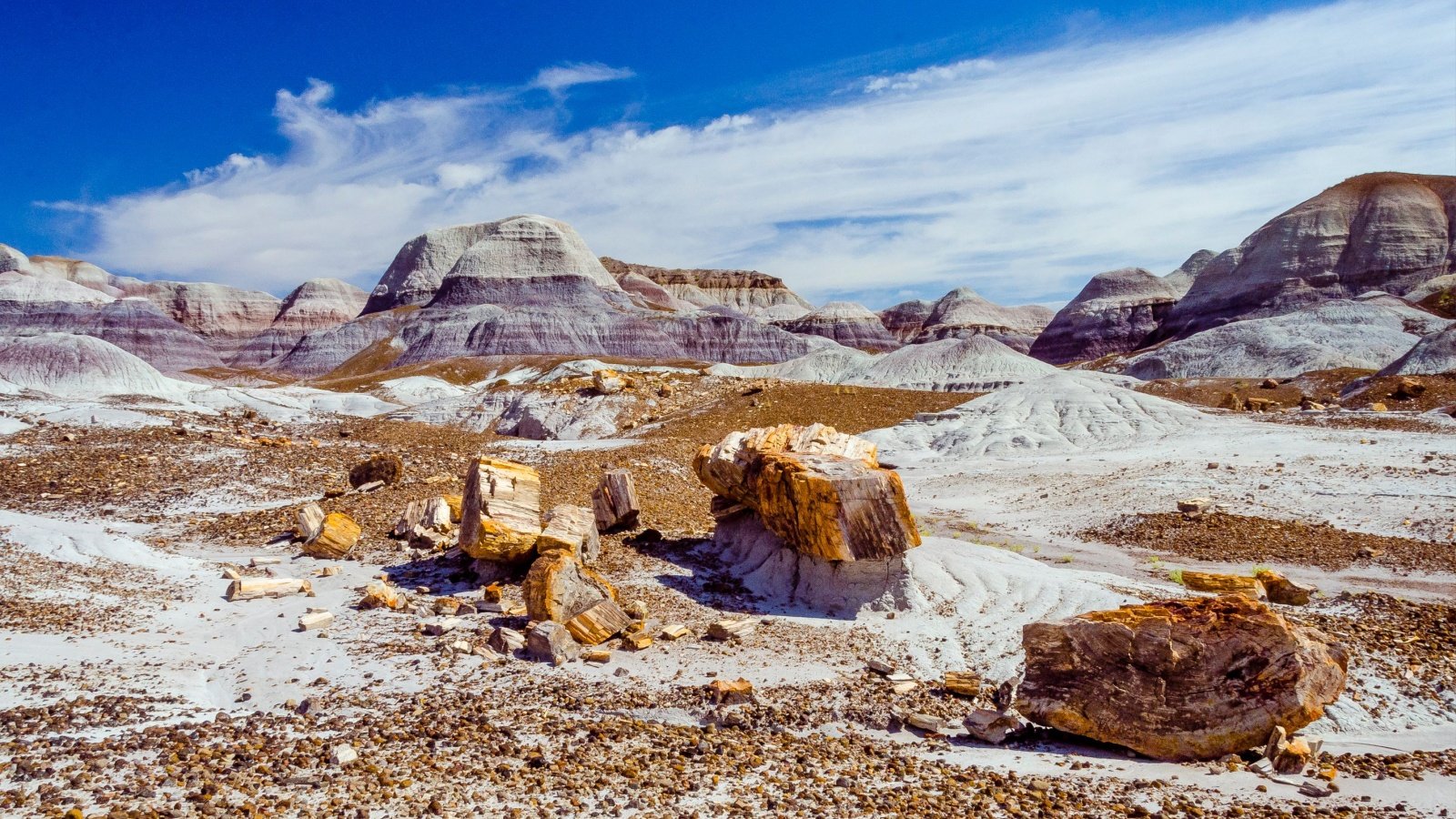 Petrified Forest National Park near Holbrook, Arizona Jnjphotos Shutterstock