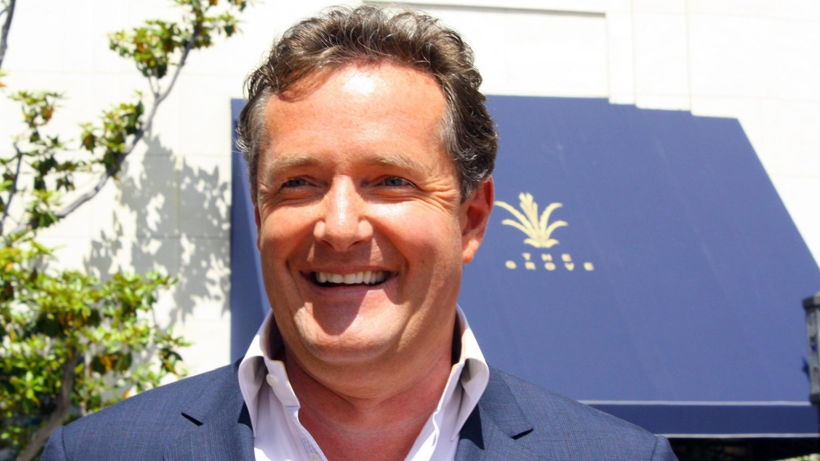 Piers Morgan RoidRanger Shutterstock