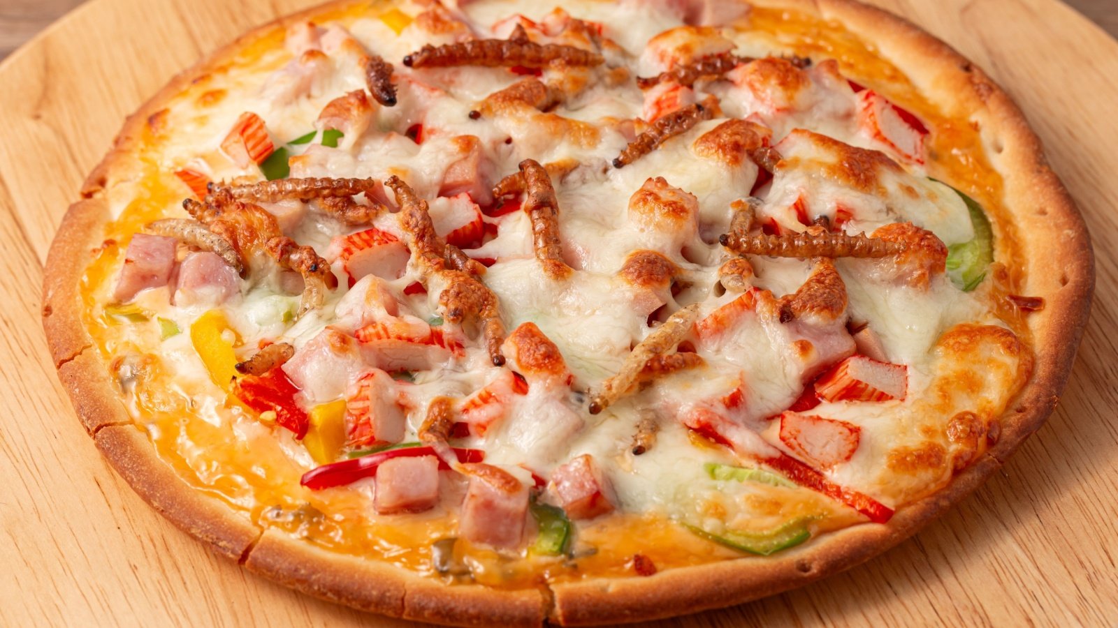 Pizza topped with bamboo worm pupa silkworm bugs insects Charoen Krung Photography Shutterstock