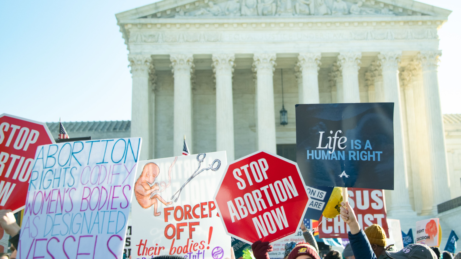 Politics Abortion Pro Life Supreme Court House Protest Rally 2021 Rena Schild Shutterstock