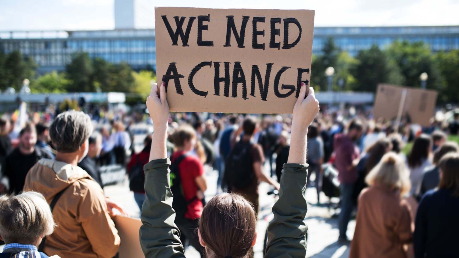 Politics Portest Change Rally Ground Picture Shutterstock