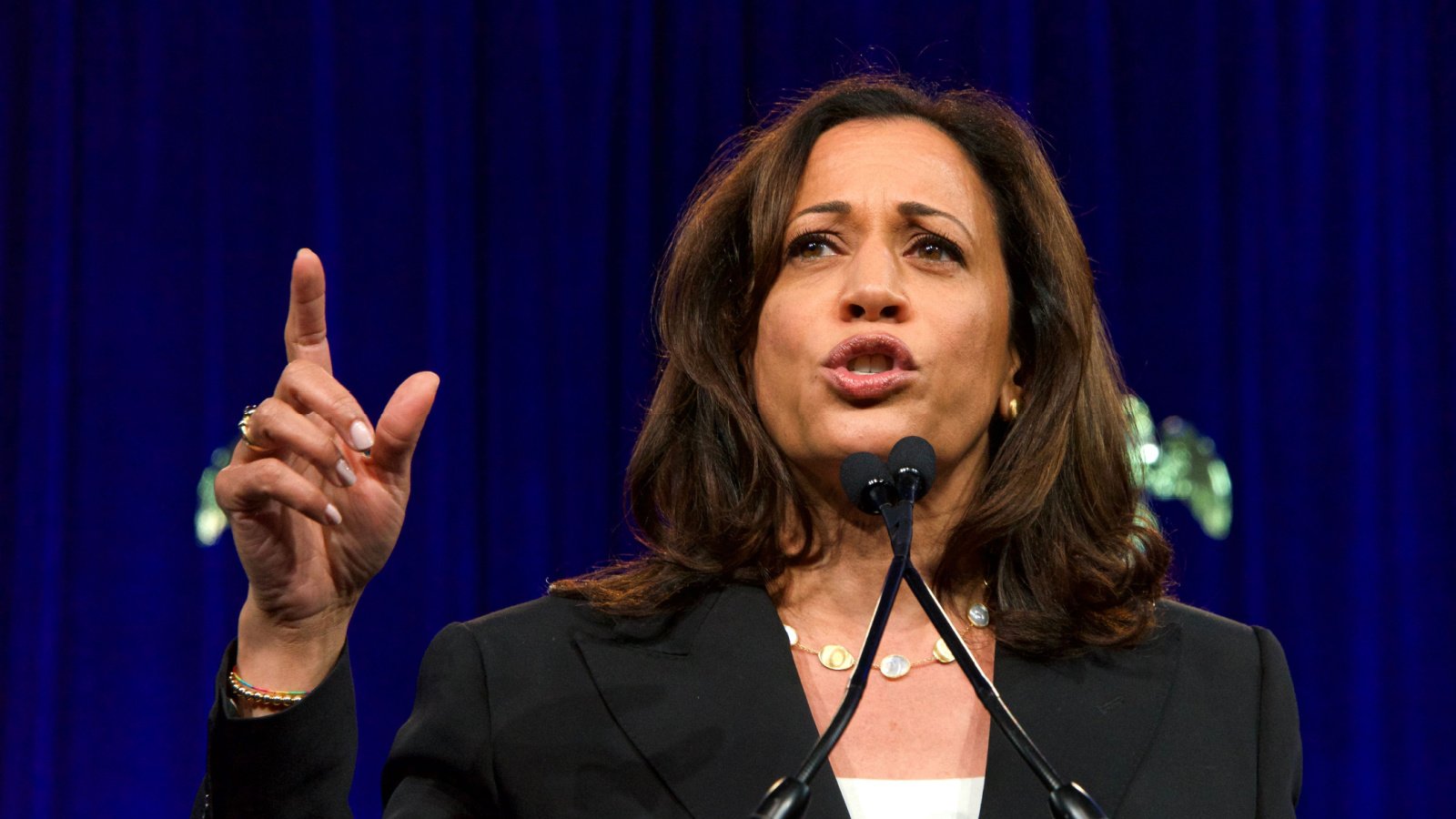 Politics Vice President Kamala Harris Sheila Fitzgerald Shutterstock