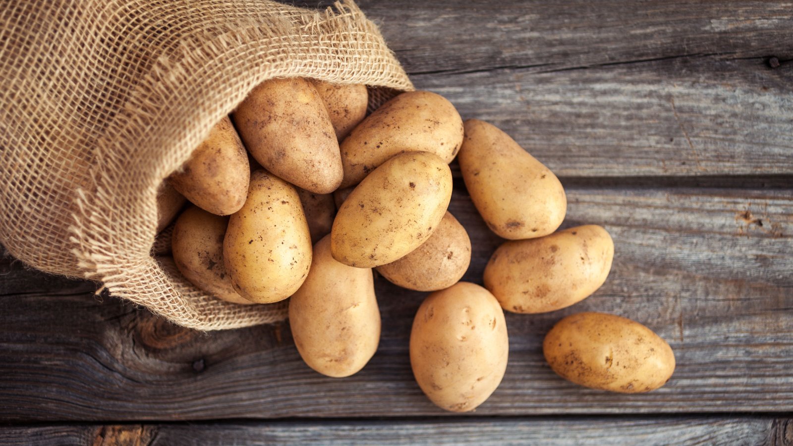 Potato hunter gather Vegetable diet food farm cooking Val R Shutterstock