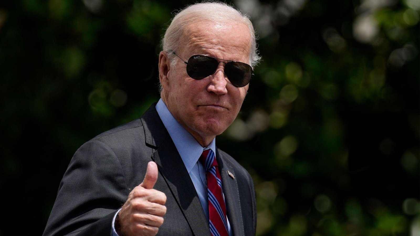 President Joe Biden Democrat Politics Salma Bashir Shutterstock