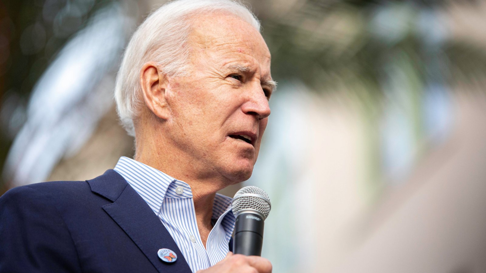 President Joe Biden Democrat Politics YASAMIN JAFARI TEHRANI Shutterstock