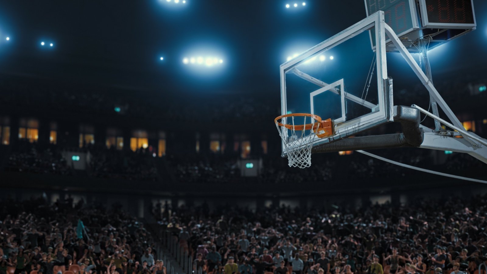 Professional Basketball Stadium Vasyl Shulga Shutterstock