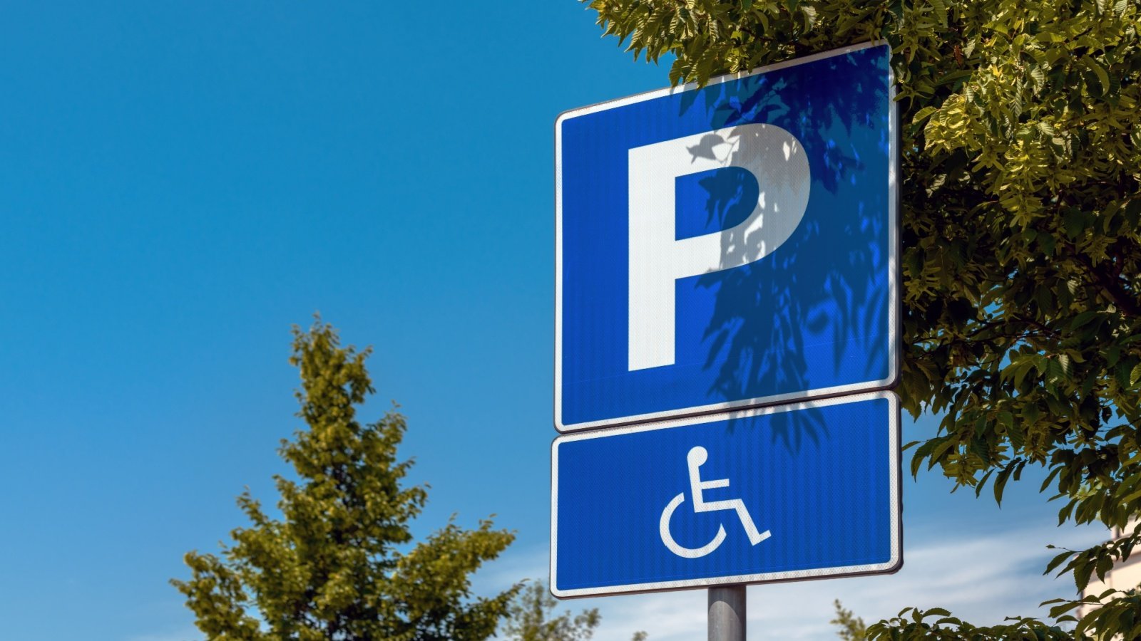 Reserved handicapped parking disability disabled wheelchair sign Bits And Splits Shutterstock Reserved handicapped parking disability disabled wheelchair sign Bits And Splits Shutterstock