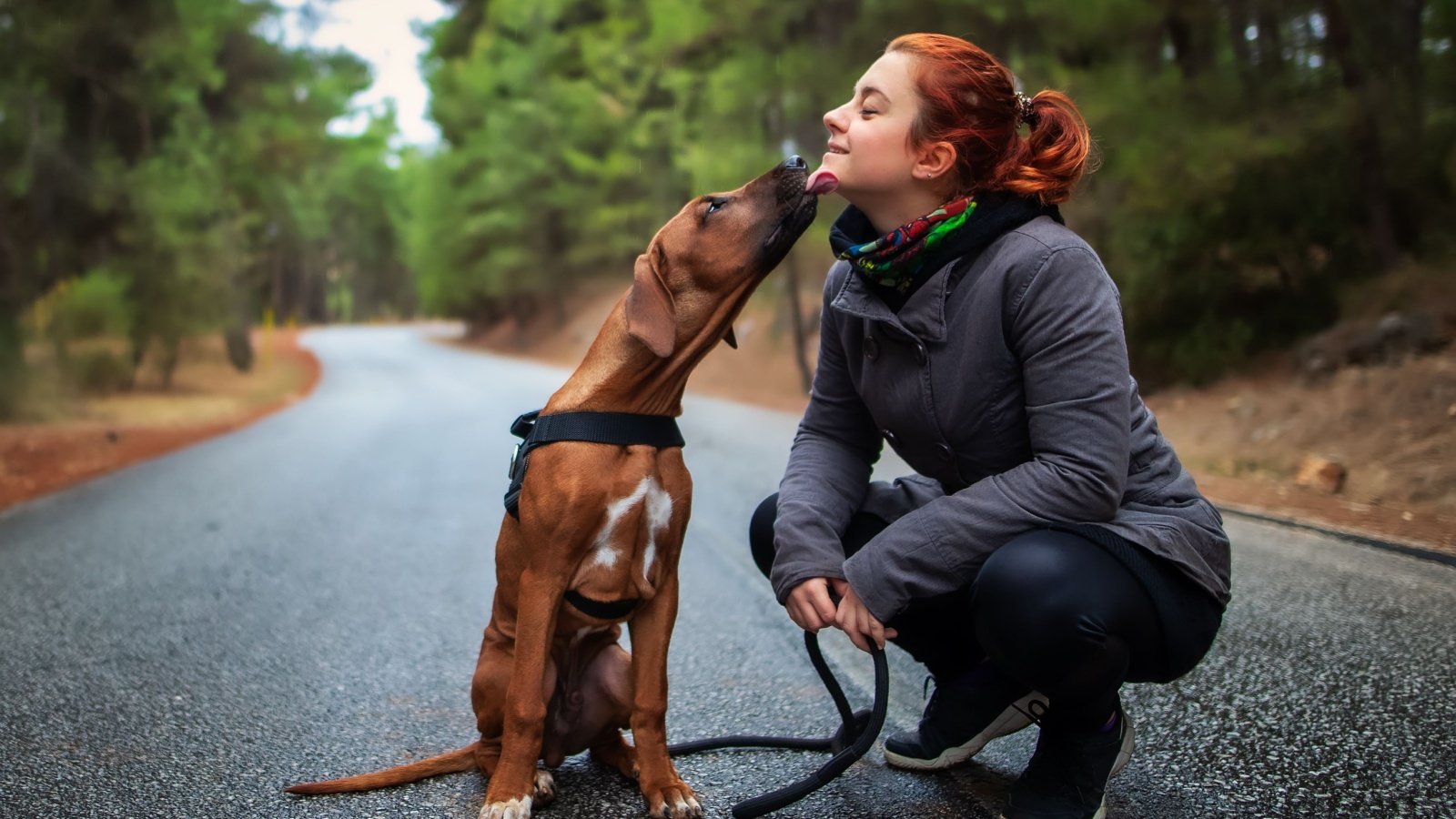 Rhodesian ridgeback dog and happy woman teen Ververidis Vasilis Shutterstock