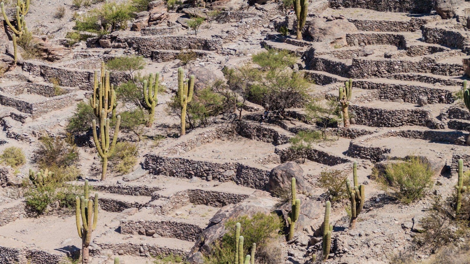 Ruins of pre Inca city Quilmes, Argentina Matyas Rehak Shutterstock