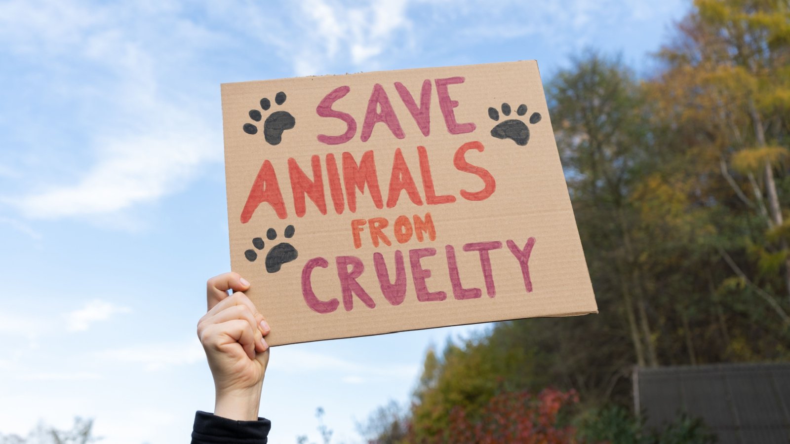 Save animals from cruelty march protest vegan vegetarian peta Longfin Media Shutterstock