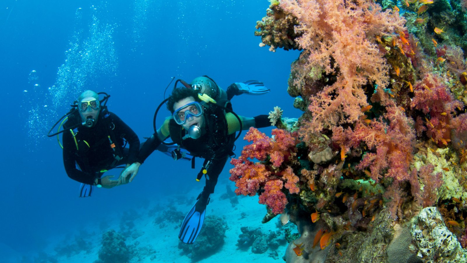 Scuba Diving Coral Reef Ocean JonMilnes Shutterstock