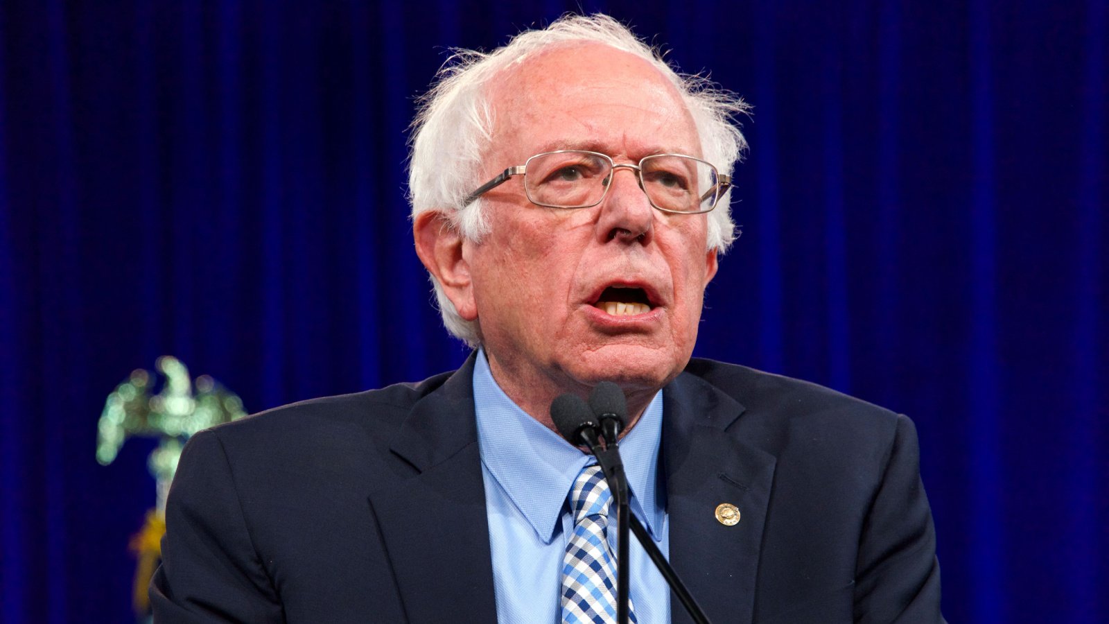 Senator Presidential Candidate Bernie Sanders 2019 Sheila Fitzgerald Shutterstock