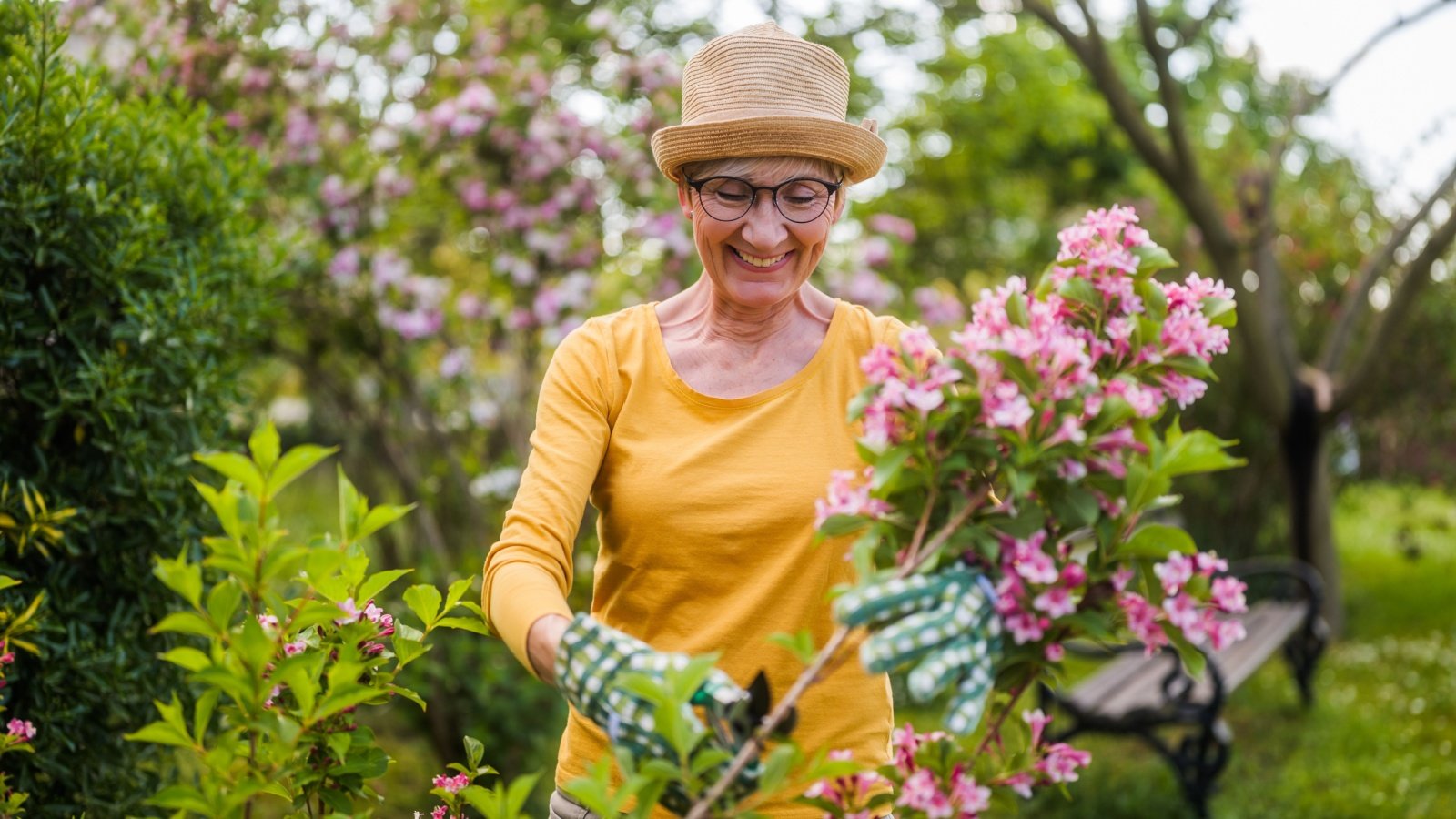 Senior woman pruning flowers in garden InesBazdar Shutterstock