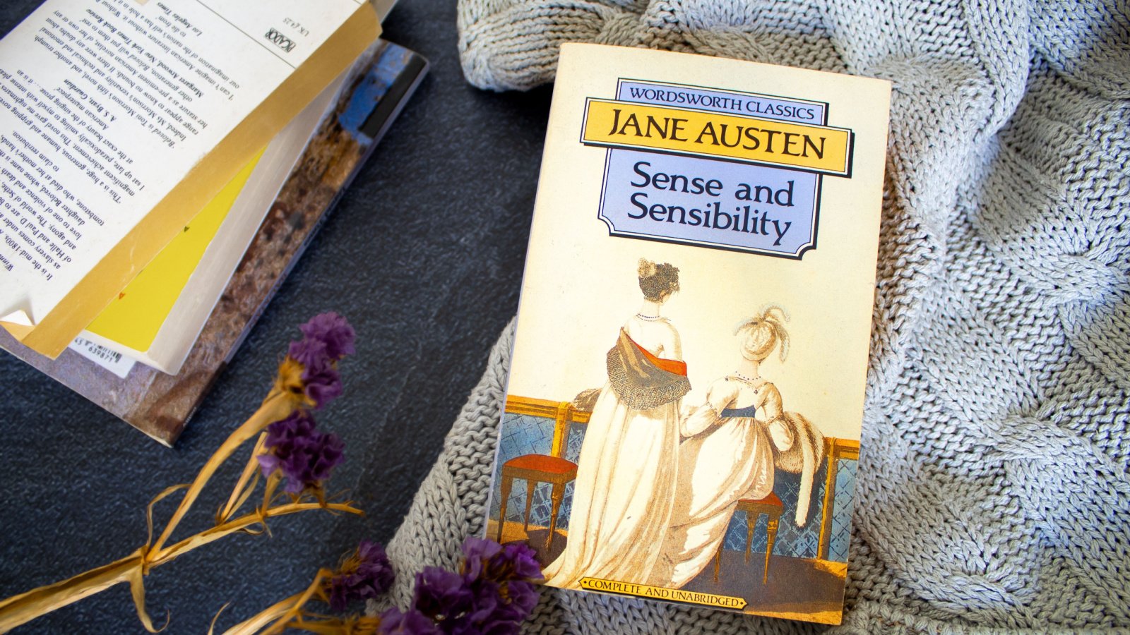 Sense and Sensibility by Jane Austen Book Novel Claudia Longo Shutterstock