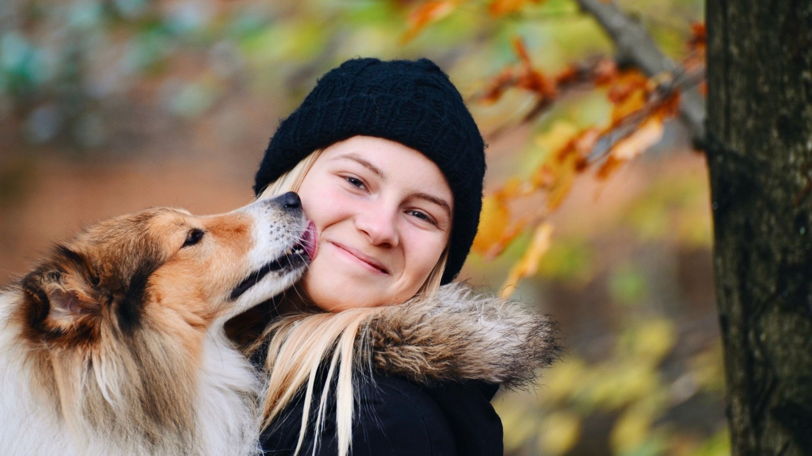 Shetland Sheepdog Sheltie Young Girl Outdoor Lindaze Shutterstock