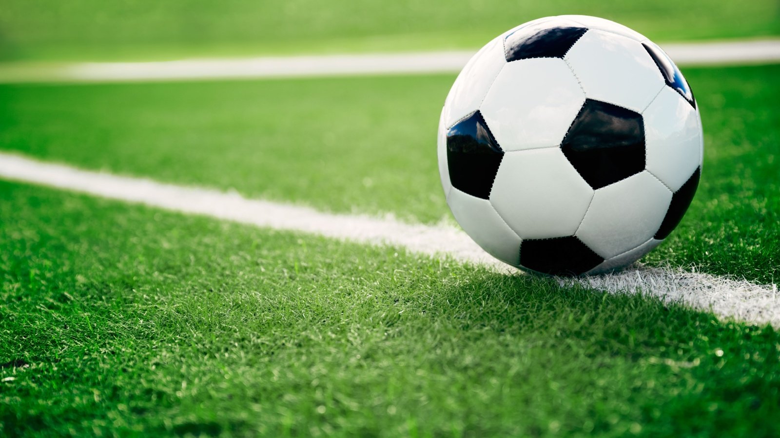 Soccer ball field sports topseller shutterstock