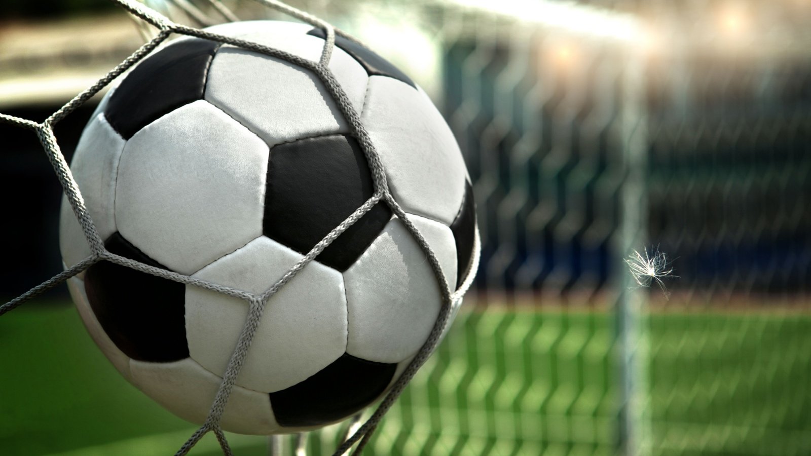 Soccer ball net sports Krivosheev Vitaly Shutterstock