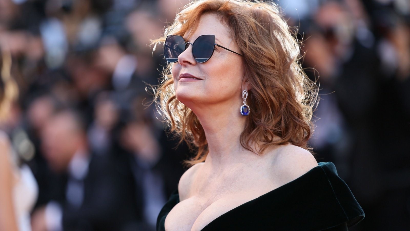 Susan Sarandon Denis Makarenko Shutterstock