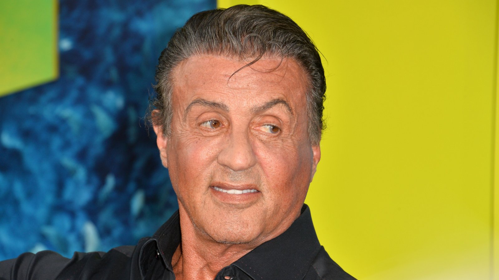 Sylvester Stallone Celebrity Premiere Featureflash Photo Agency Shutterstock