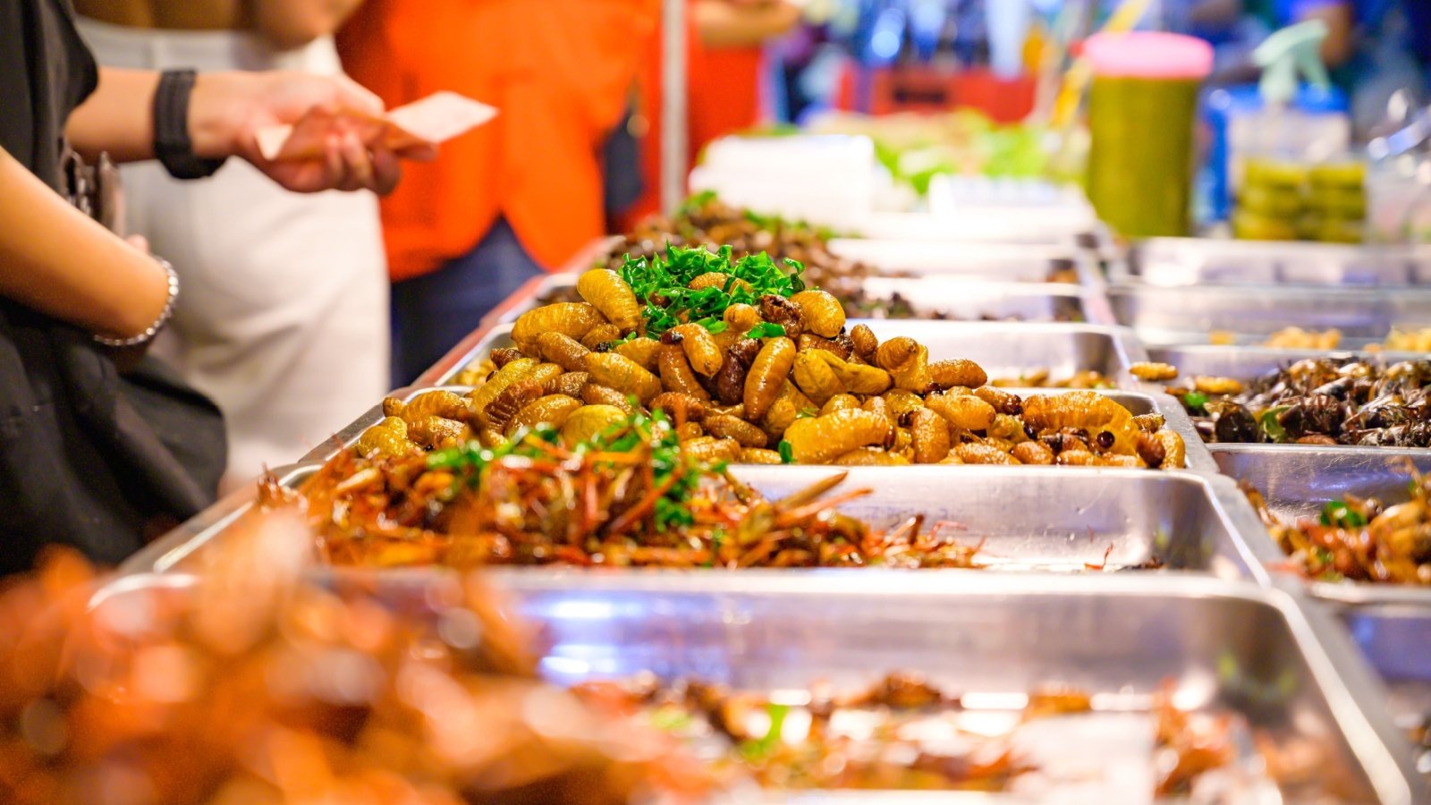 Thailand vendors sell Fried red palm weevil bugs insects KobchaiMa Shutterstock