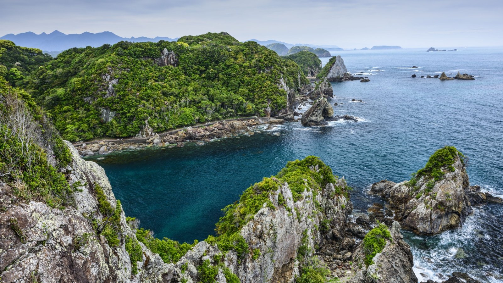 The Cove at Taiji, Wakayama, Japan ESB Professional Shutterstock