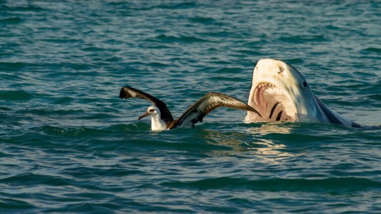 ‘Freaks of Nature’: 25 Most Bizarre and Unusual Animals on Earth