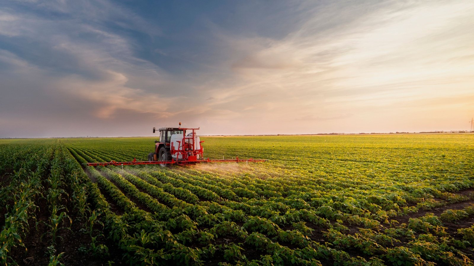 Tractor spraying pesticides farming garden outdoor agriculture Fotokostic Shutterstock