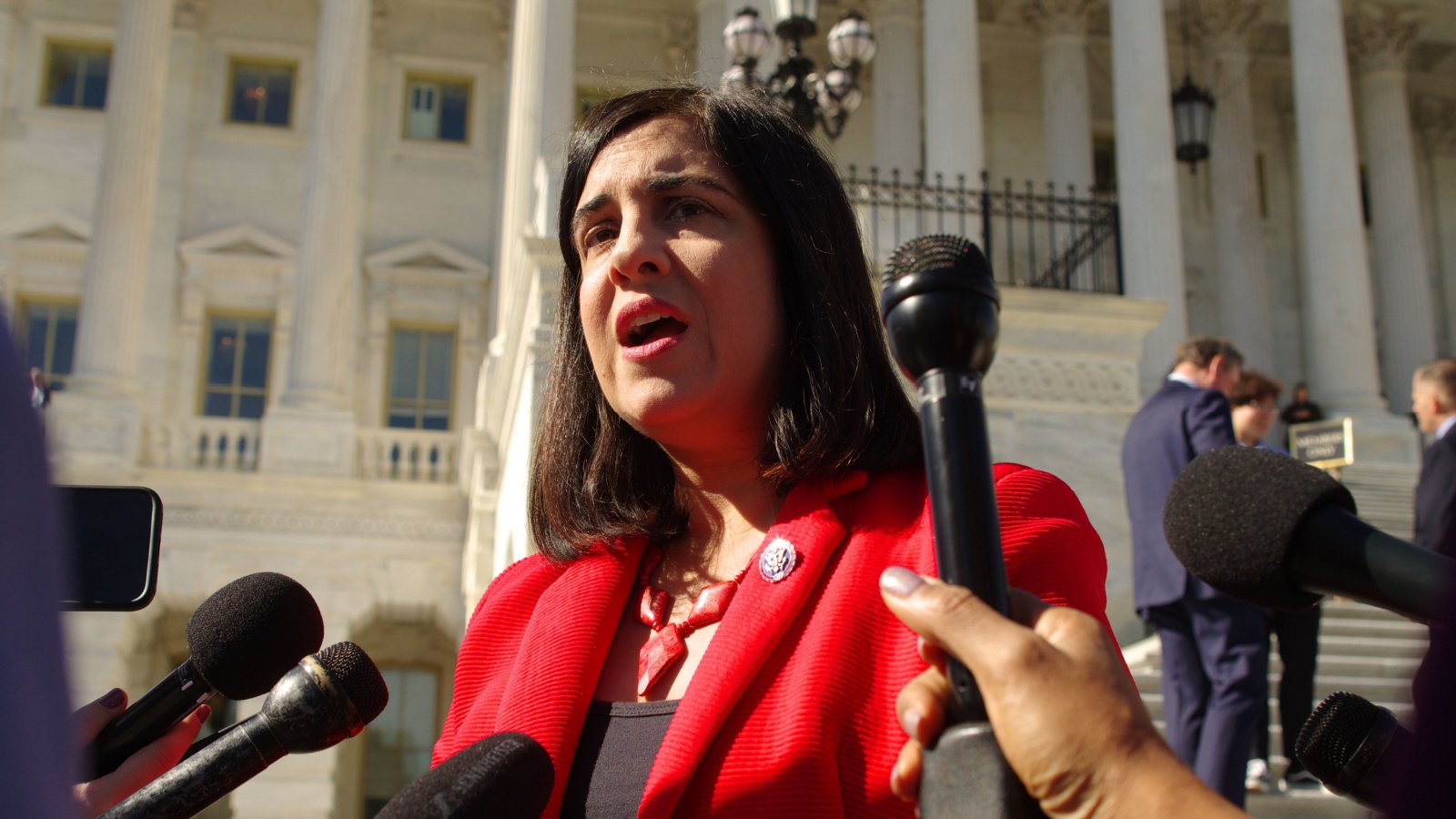 U.S. Representative Congress Politics Nicole Malliotakis Philip Yabut Shutterstock