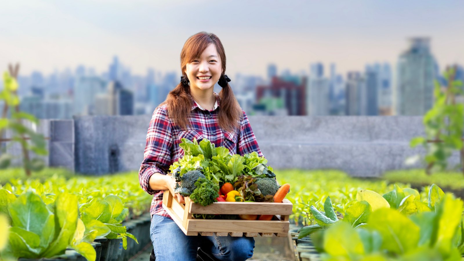 Urban Agriculture Rooftop Garden Vegetables Akarawut Shutterstock